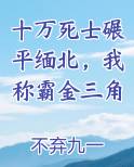 十万死士碾平缅北，我称霸金三角