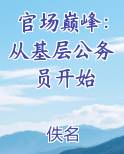 官场巅峰：从基层公务员开始