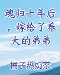 魂归十年后，嫁给了养大的弟弟在线阅读无弹窗
