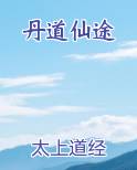 丹道仙途