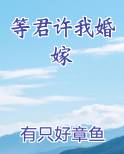 等君许我婚嫁