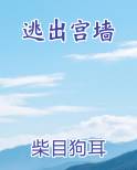 逃出宫墙小说全文免费阅读