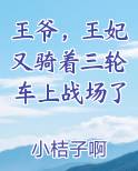 王爷，王妃又骑着三轮车上战场了