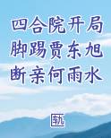 四合院开局脚踢贾东旭断亲何雨水