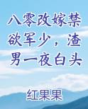 八零改嫁禁欲军少，渣男一夜白头