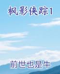 枫影侠踪1