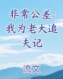 非常公差：我为老大追夫记