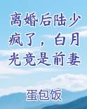 离婚后陆少疯了，白月光竟是前妻