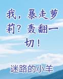 我，暴走萝莉？轰翻一切！