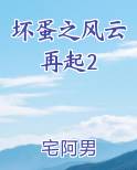 坏蛋之风云再起2TXT小说
