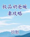 极品奶爸暖妻攻略