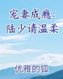 宠妻成瘾：陆少请温柔