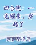 四合院：一觉醒来，穿越了