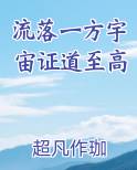流落一方宇宙证道至高