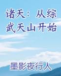 诸天：从综武天山开始