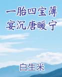 一胎四宝薄宴沉唐暖宁