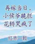 再嫁当日，小侯爷跪拦花轿哭疯了