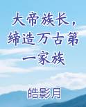 大帝族长，缔造万古第一家族
