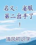 名义：省服第二出手了！