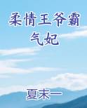 柔情王爷霸气妃