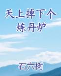 天上掉下个炼丹炉