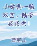 小娇妻一胎双宝，陆爷夜夜哄！