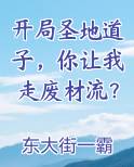 开局圣地道子，你让我走废材流？在线阅读小说
