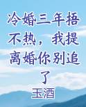 冷婚三年捂不热，我提离婚你别追了