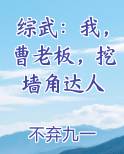 综武：我，曹老板，挖墙角达人