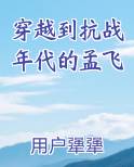 穿越到抗战年代的孟飞