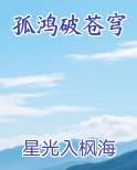 孤鸿破苍穹