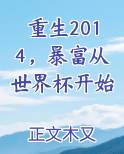 重生2014，暴富从世界杯开始