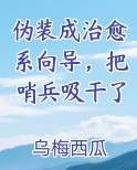 伪装成治愈系向导，把哨兵吸干了