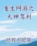 重生网游之大神驾到