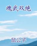 双魂武神境界划分