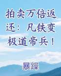 拍卖万倍返还：凡铁变极道帝兵！