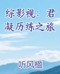 综影视：君凝历练之旅