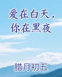 爱在白天，你在黑夜