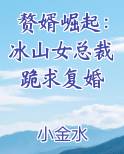 赘婿崛起：冰山女总裁跪求复婚