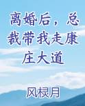 离婚后，总裁带我走康庄大道