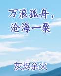 万浪孤舟，沧海一粟推荐小说
