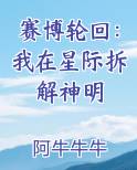 赛博轮回：我在星际拆解神明