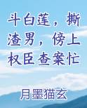 斗白莲，撕渣男，傍上权臣查案忙