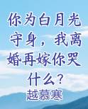你为白月光守身，我离婚再嫁你哭什么？电子书