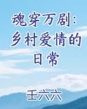 穿越乡村爱情的长篇小说