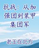 抗战：从加强团到装甲集团军