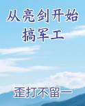 从亮剑开始搞军工
