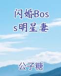 闪婚Boss明星妻