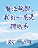 魔法觉醒，我第一系是辅助系