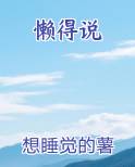 懒得说小说全文免费阅读